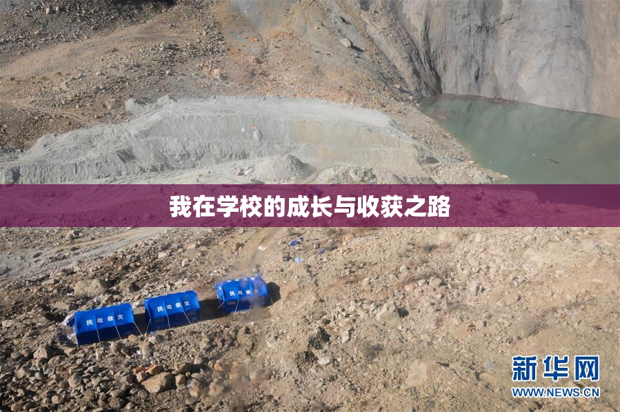 我在学校的成长与收获之路