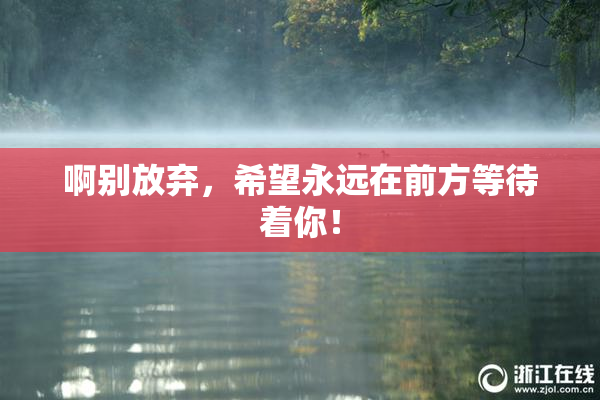 啊别放弃，希望永远在前方等待着你！