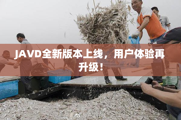JAVD全新版本上线，用户体验再升级！
