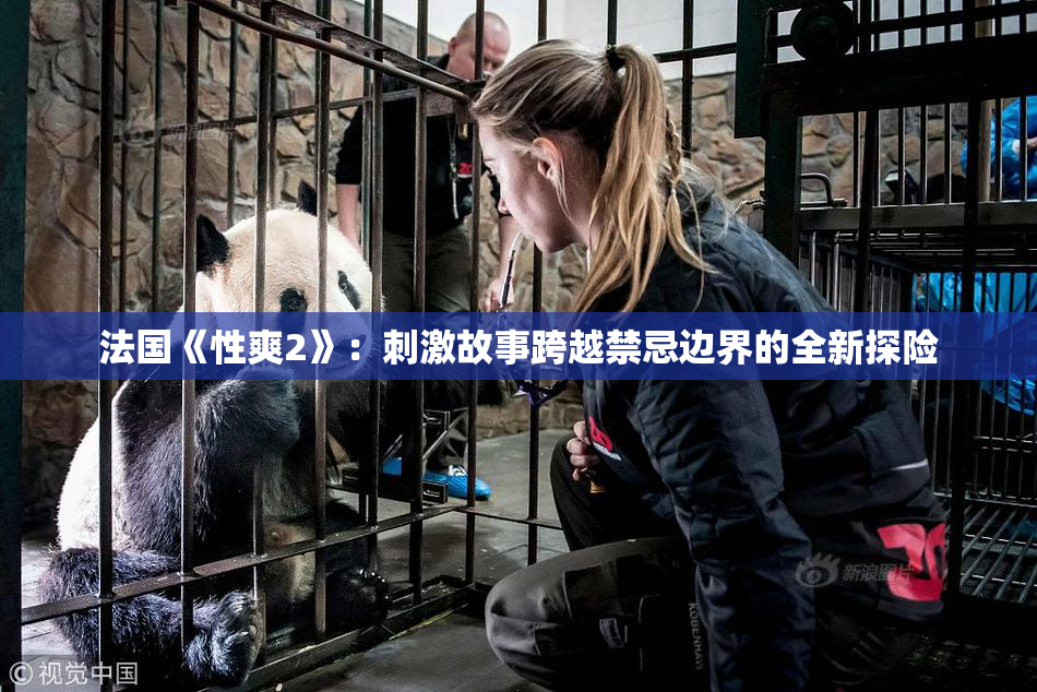 法国《性爽2》：刺激故事跨越禁忌边界的全新探险