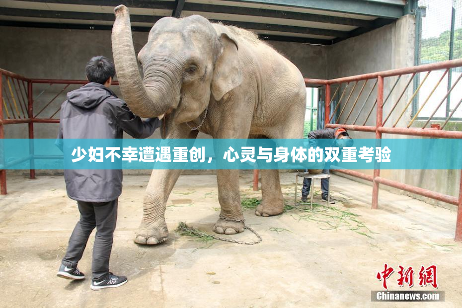 少妇不幸遭遇重创，心灵与身体的双重考验