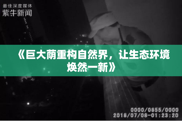 《巨大荫重构自然界，让生态环境焕然一新》