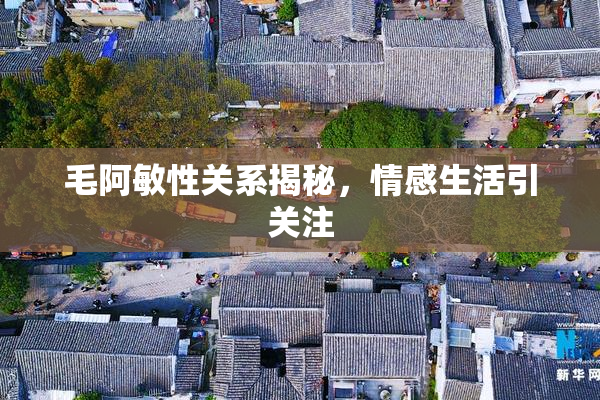 毛阿敏性关系揭秘，情感生活引关注