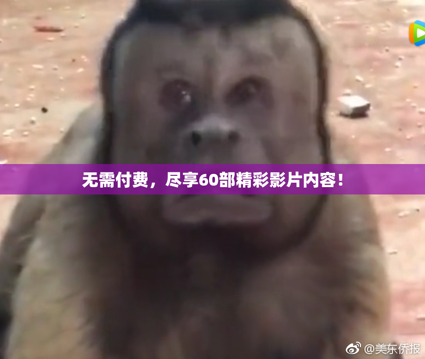 无需付费，尽享60部精彩影片内容！