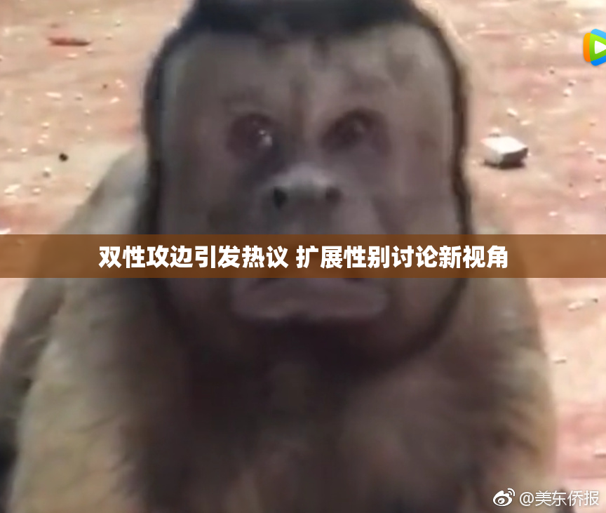 双性攻边引发热议 扩展性别讨论新视角