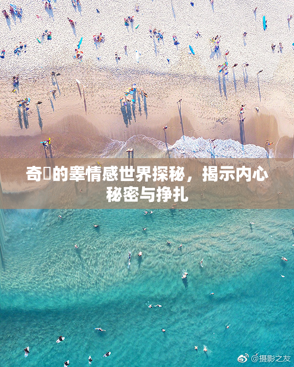 奇犽的睾情感世界探秘，揭示内心秘密与挣扎