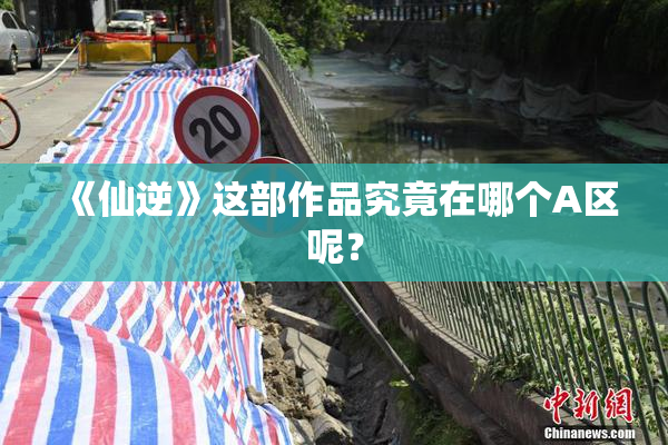 《仙逆》这部作品究竟在哪个A区呢？