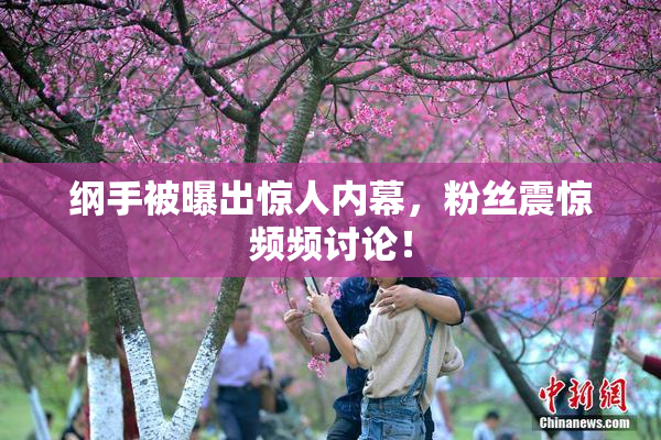 纲手被曝出惊人内幕，粉丝震惊频频讨论！