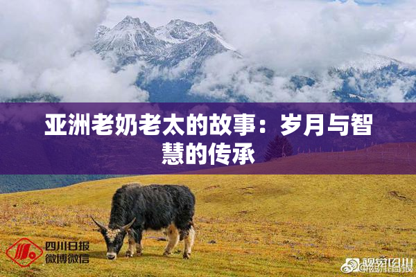 亚洲老奶老太的故事：岁月与智慧的传承