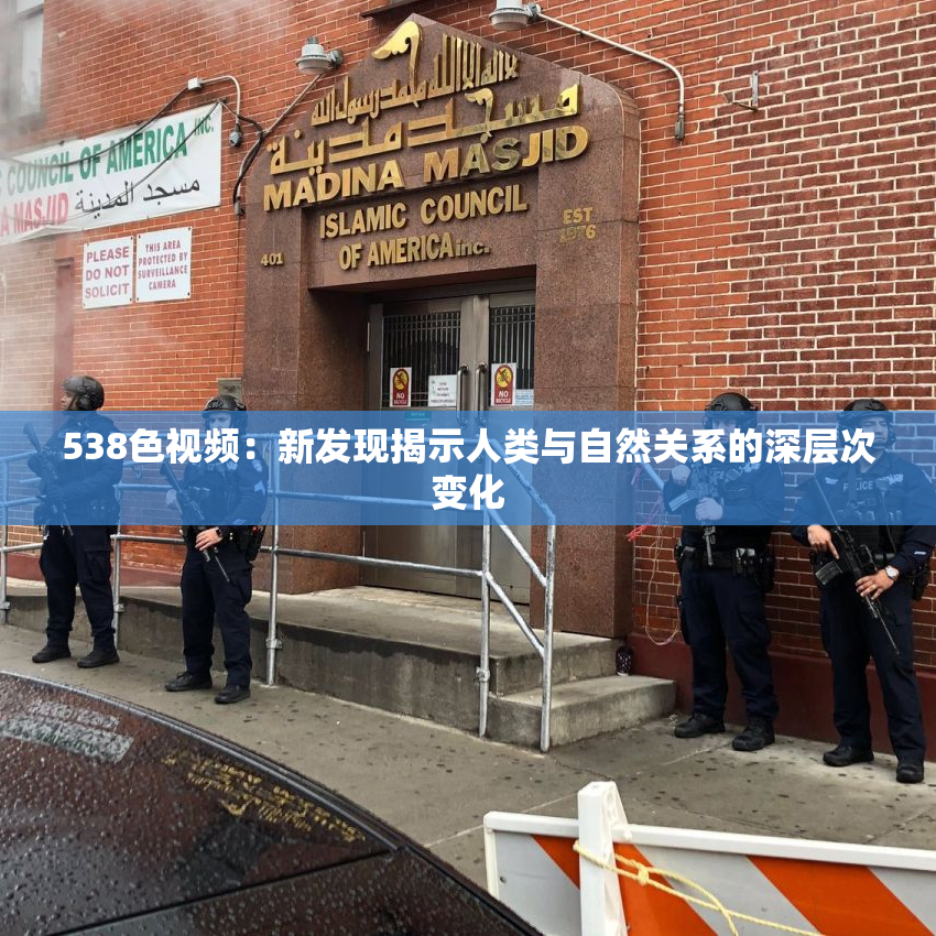 538色视频：新发现揭示人类与自然关系的深层次变化