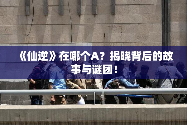 《仙逆》在哪个A？揭晓背后的故事与谜团！