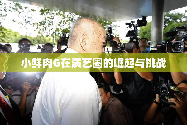 小鲜肉G在演艺圈的崛起与挑战