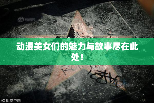 动漫美女们的魅力与故事尽在此处！