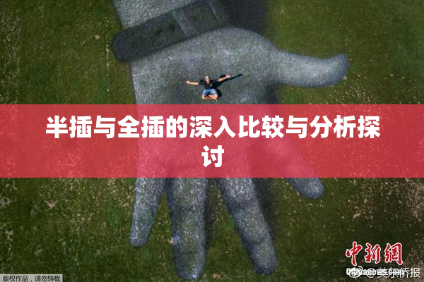 半插与全插的深入比较与分析探讨