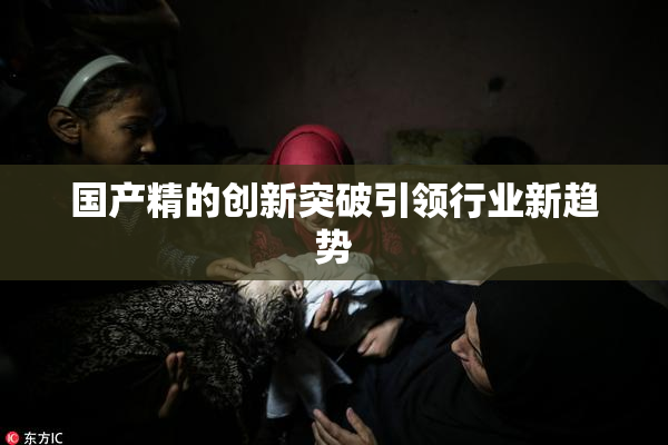 国产精的创新突破引领行业新趋势