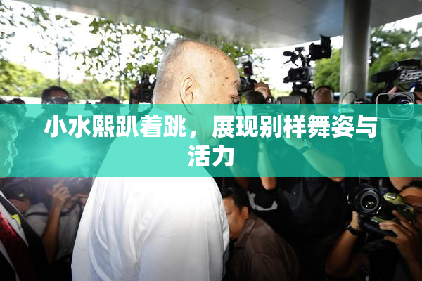 小水熙趴着跳，展现别样舞姿与活力
