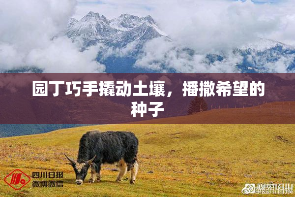 园丁巧手撬动土壤，播撒希望的种子