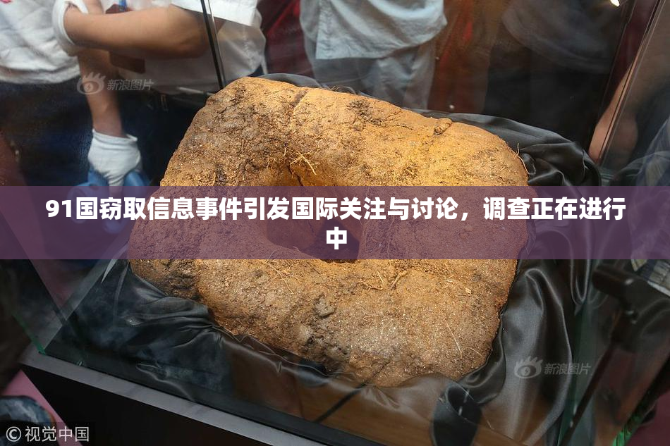 91国窃取信息事件引发国际关注与讨论，调查正在进行中