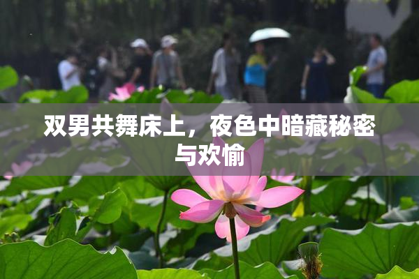 双男共舞床上，夜色中暗藏秘密与欢愉
