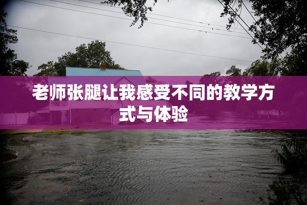 老师张腿让我感受不同的教学方式与体验