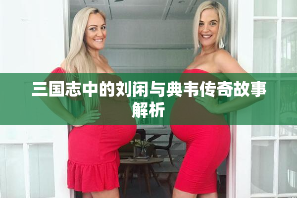 三国志中的刘闲与典韦传奇故事解析
