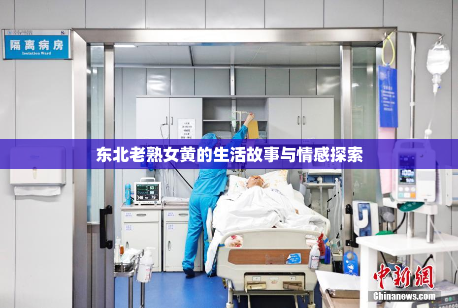 东北老熟女黄的生活故事与情感探索