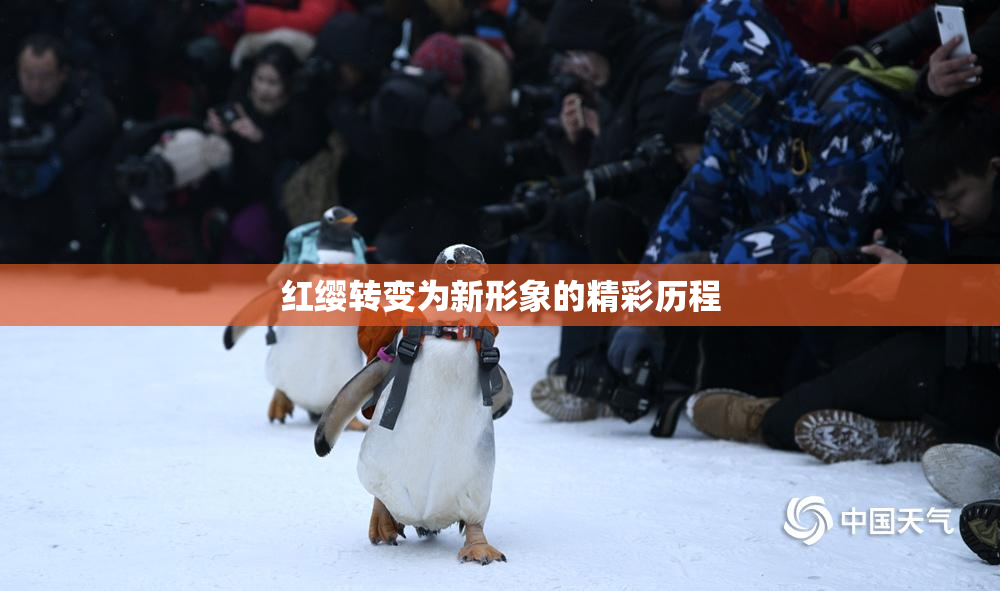 红缨转变为新形象的精彩历程