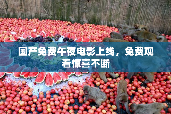 国产免费午夜电影上线，免费观看惊喜不断