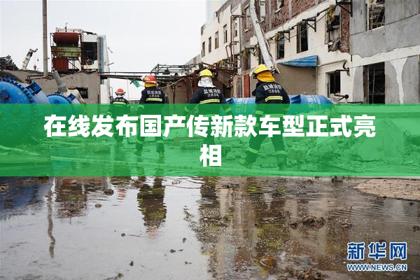 在线发布国产传新款车型正式亮相