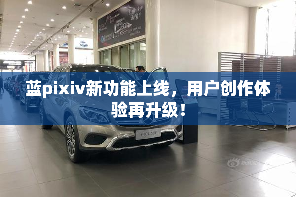 蓝pixiv新功能上线，用户创作体验再升级！
