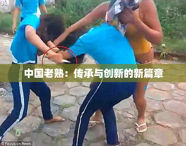 中国老熟：传承与创新的新篇章