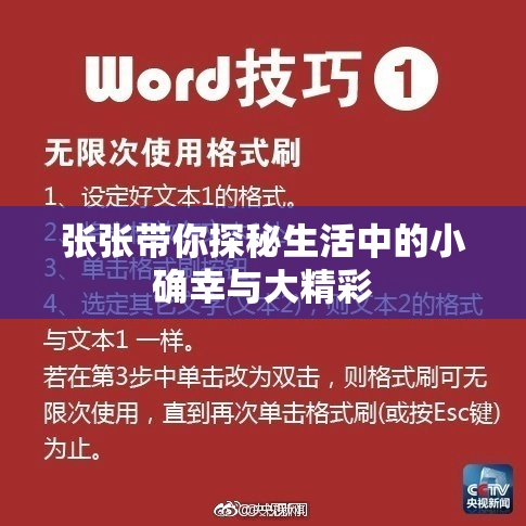 张张带你探秘生活中的小确幸与大精彩