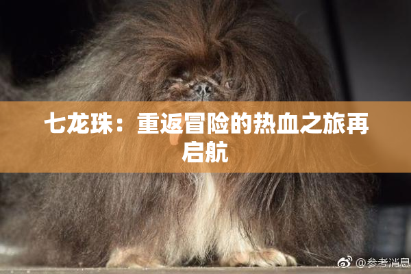 七龙珠：重返冒险的热血之旅再启航