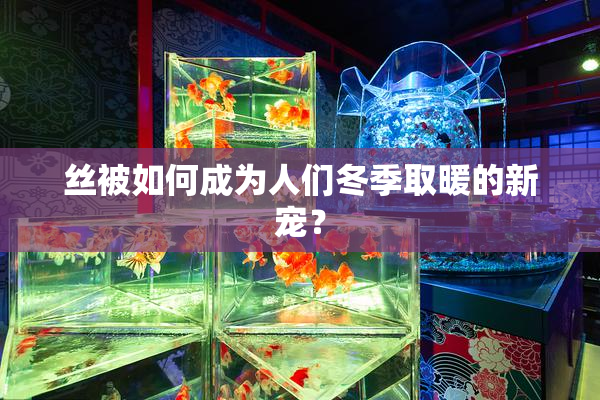 丝被如何成为人们冬季取暖的新宠？