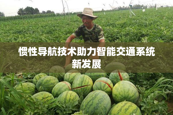 惯性导航技术助力智能交通系统新发展
