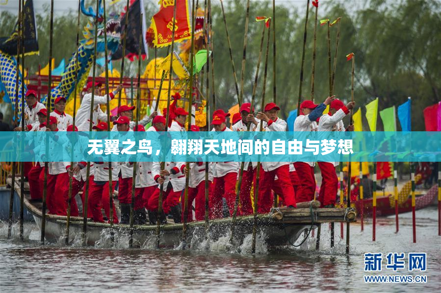 无翼之鸟，翱翔天地间的自由与梦想
