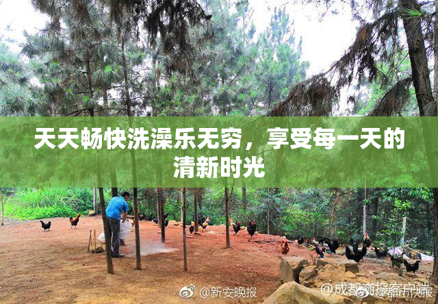 天天畅快洗澡乐无穷，享受每一天的清新时光
