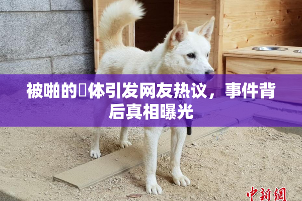 被啪的祼体引发网友热议，事件背后真相曝光