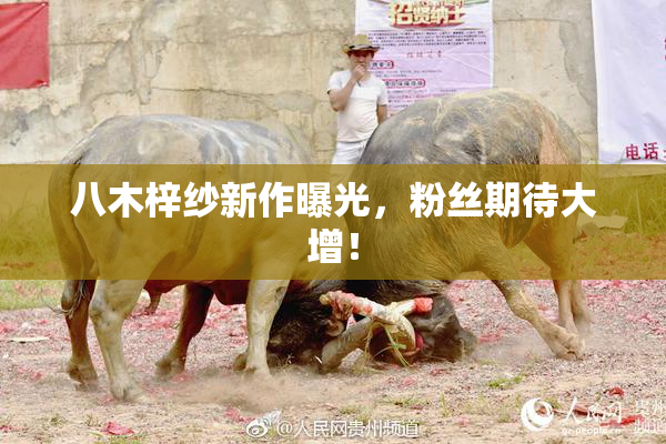 八木梓纱新作曝光，粉丝期待大增！
