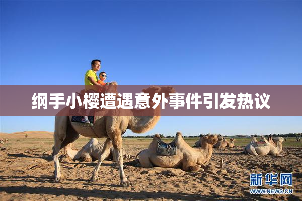 纲手小樱遭遇意外事件引发热议