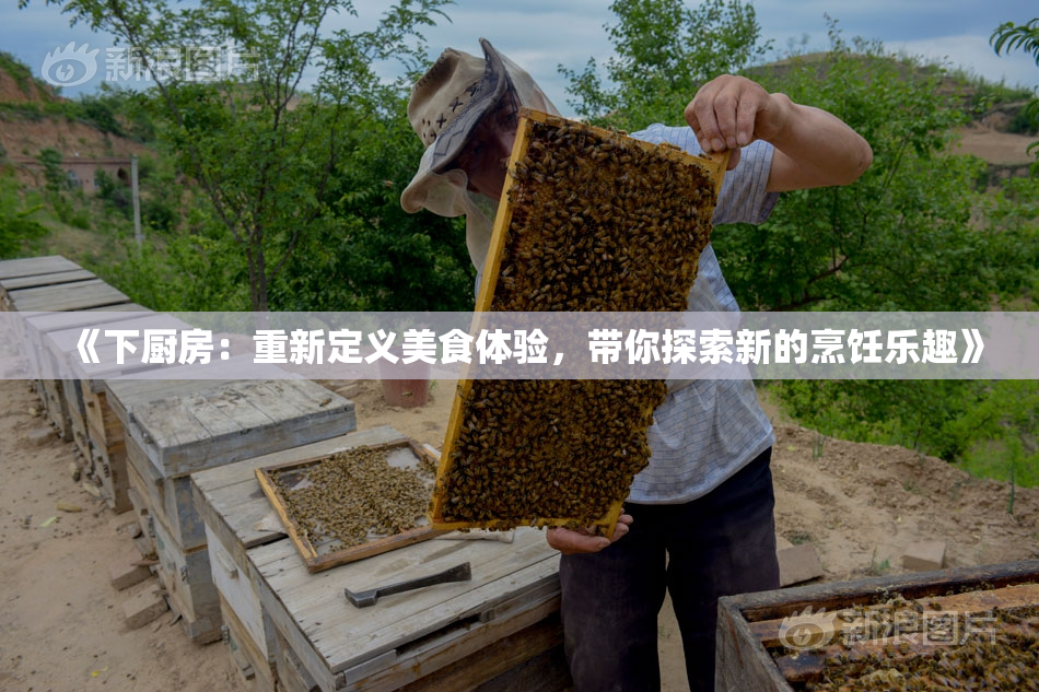 《下厨房：重新定义美食体验，带你探索新的烹饪乐趣》