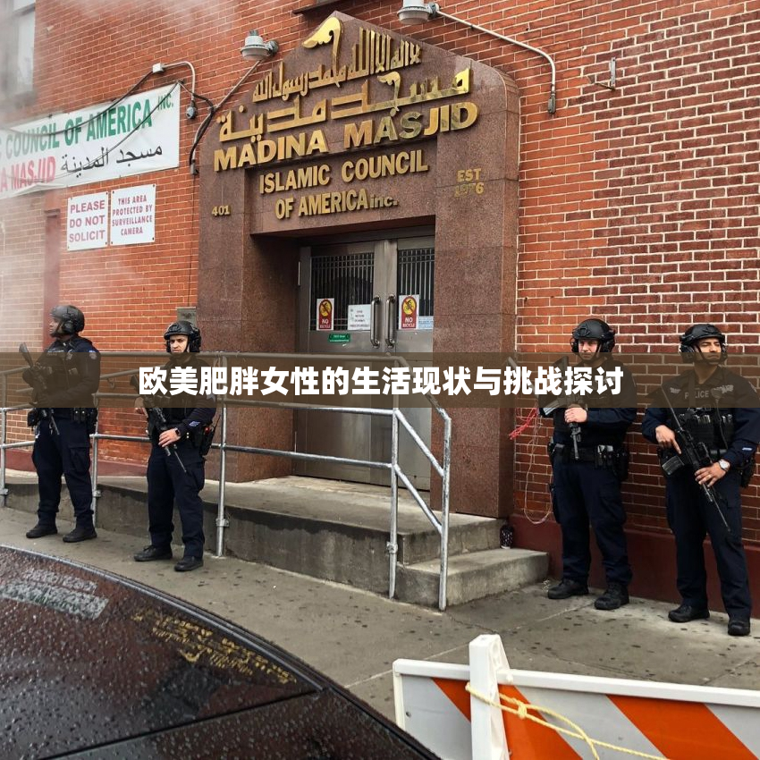欧美肥胖女性的生活现状与挑战探讨