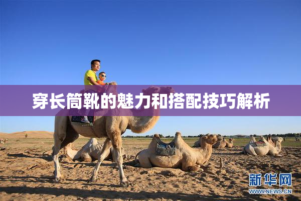 穿长筒靴的魅力和搭配技巧解析