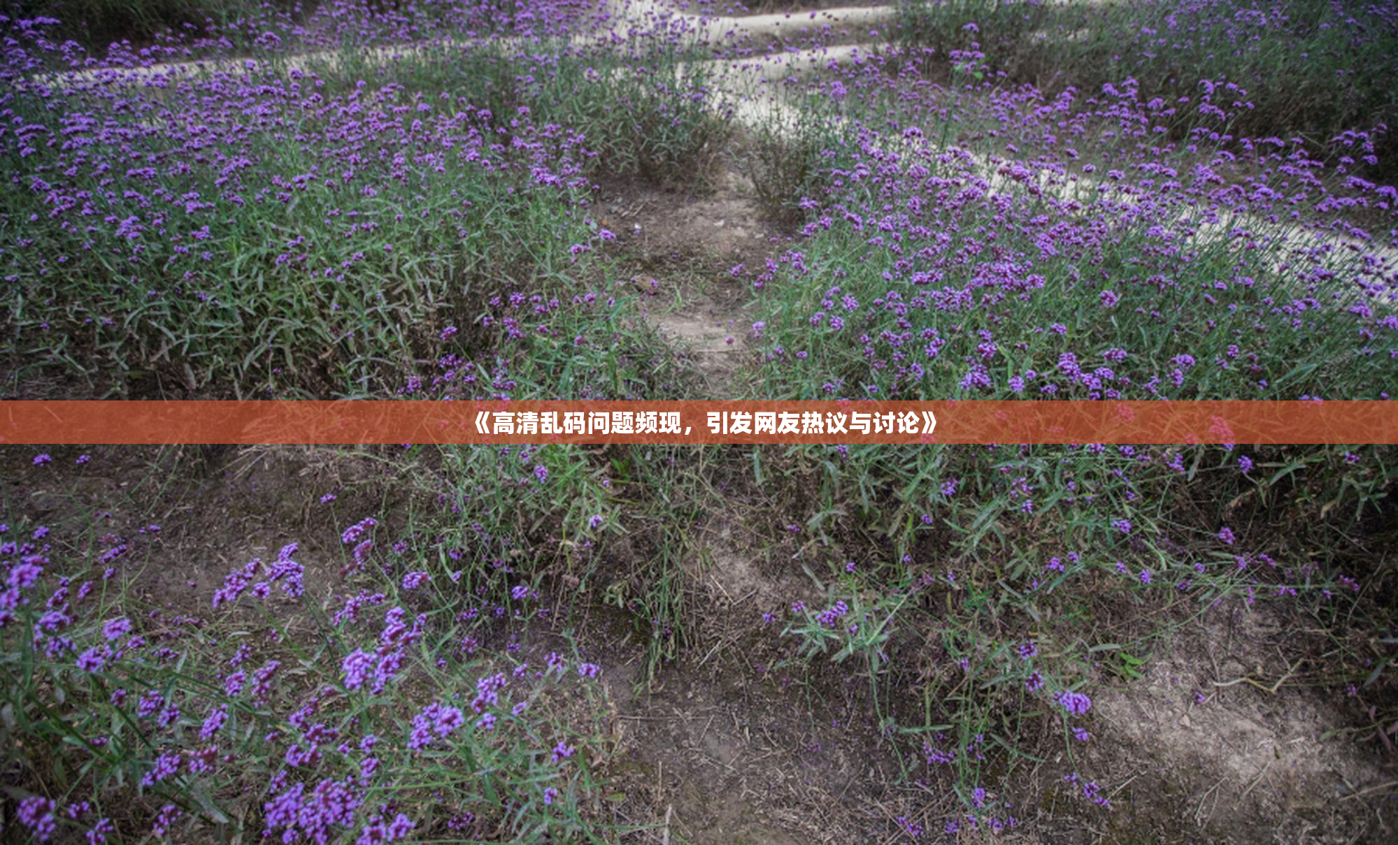 《高清乱码问题频现，引发网友热议与讨论》