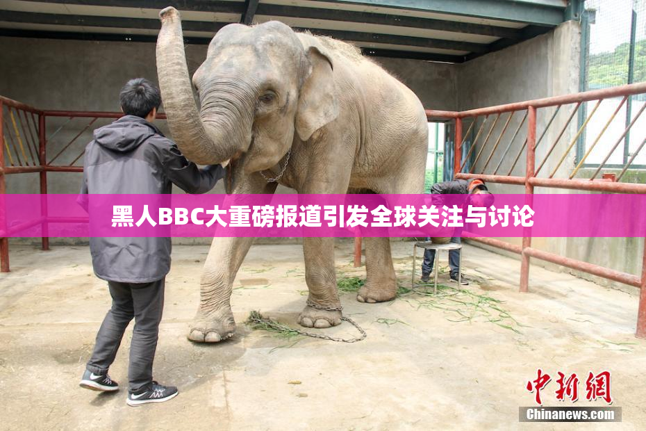 黑人BBC大重磅报道引发全球关注与讨论