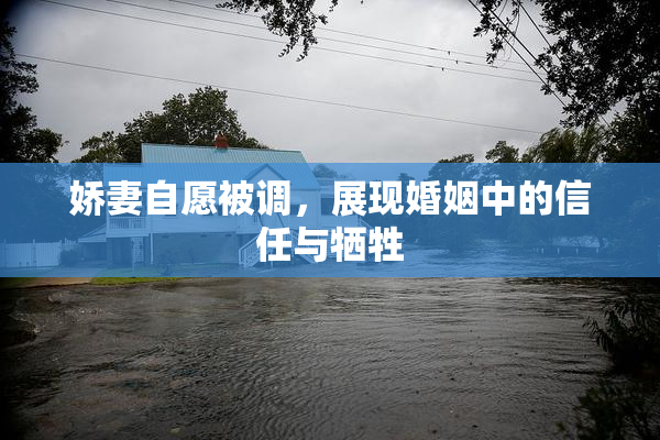 娇妻自愿被调，展现婚姻中的信任与牺牲