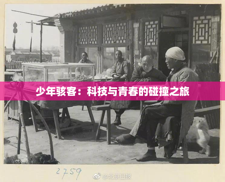 少年骇客：科技与青春的碰撞之旅