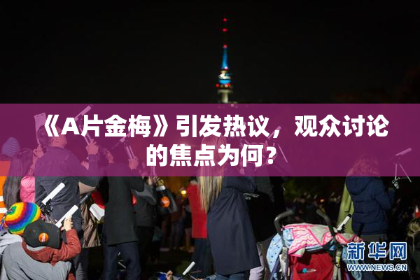 《A片金梅》引发热议，观众讨论的焦点为何？