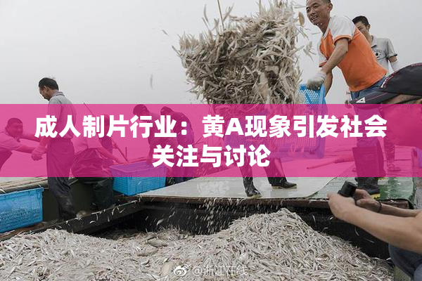 成人制片行业：黄A现象引发社会关注与讨论