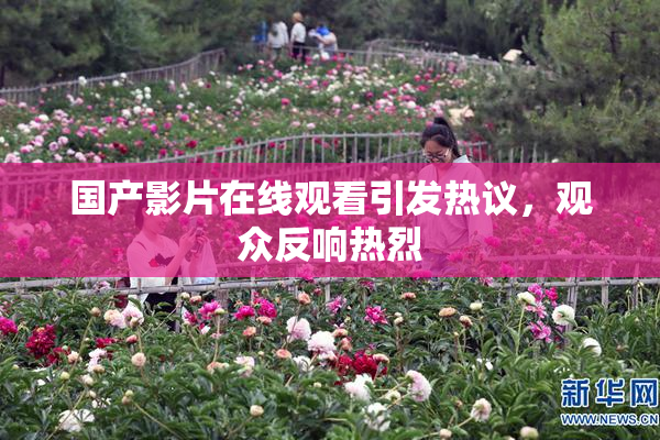 国产影片在线观看引发热议，观众反响热烈